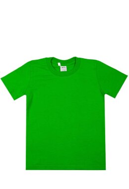 Салатовая детская футболка Салатовая детская футболка